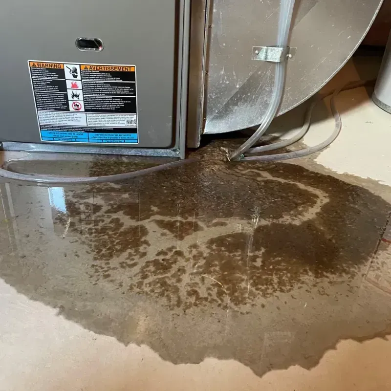 Appliance Leak Cleanup in Vicksburg, MI